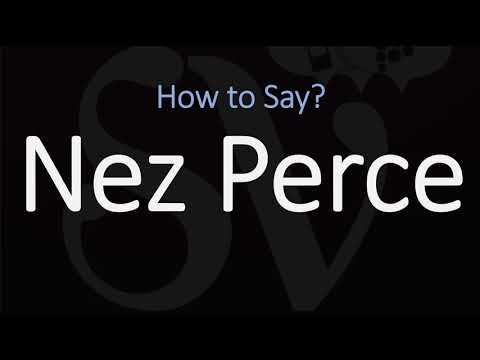 What does Nez Perce mean?