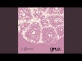 The bullets from my canana (Original Mix)
