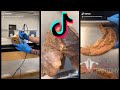 Institute of Human Anatomy TikTok Compilation for March 2020