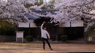 Traditional Yang Style Tai Chi Chuan 132 Form by Kiyoko Kashiwagi  伝統楊式太極拳132 式 by 柏木規与子