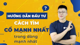 HƯỚNG DẪN ĐẦU TƯ: CÁCH TÌM CỔ PHIẾU MẠNH NHẤT