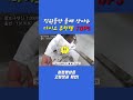 직원들만 몰래산다는 다이소추천템 Top5 소개합니다(고정댓글 확인)