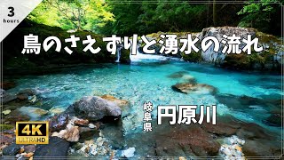 4K ASMR | Enbara River | Calming River Sounds and Birdsong 3 Hours | Relaxation, BGM | Gifu, Japan