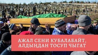 Ажал сени кубалабайт, алдыңдан тосуп чыгат