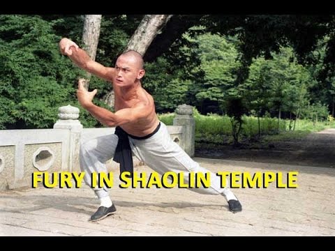 Fury In Shaolin Temple - Full Movie Wu Tang Collection ( English Subtitles )