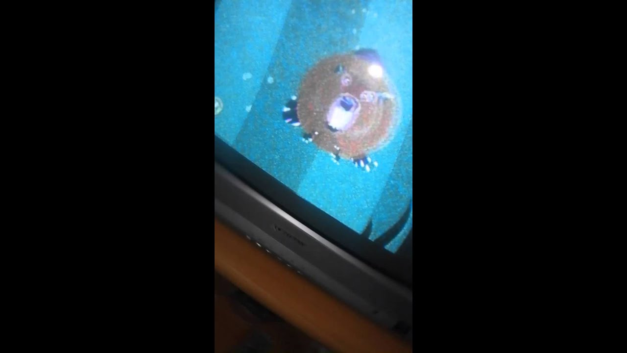 állati Kuldetes Youtube