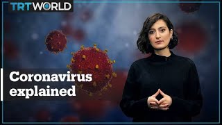 Coronavirus (Covid-19) explained
