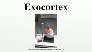 Exocortex