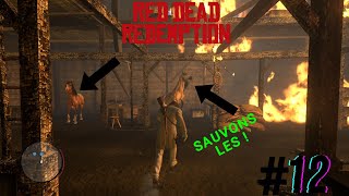 Red Dead Redemption PC - Mission #12 (Bonnie MacFarlane) L'incendie