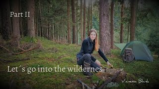 Bushcraft in the dark Wintertime - Camping, Campfire, Car Failure - Vanessa Blank