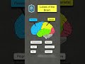 🔥 Lobes of the Brain & Their Functions Explained in 60 SECONDS! [Nursing NCLEX Anatomy]