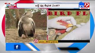 Several States on alert as fear of bird flu grows - TV9