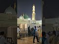 #madina #makkah #gumbadekhazra #youtubeshorts #shorts #shortvideo #viralvideo #explore #explorepage