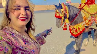 🥳حفلة نسائية بمدينة تيزنيت شبعنا نشاط💃مع أحلا متتبعات❤️