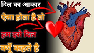 Real दिल और Massage वाला दिल अलग क्यूँ  - By Anand Facts | Facts about Dil | Amazing Facts | #shorts