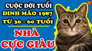 Cuộc Đời Tuổi ĐInh Mão 1987 Từ 36-60 Tuổi, Đón Lộc Lá Đầy Nhà, Tiền Chất Như Núi, Đổi Vận Giàu To