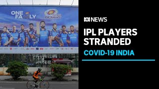 Stranded IPL cricketers struggle to get home amid travel bans and quarantine | ABC News