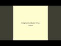 Fragments Mystic Echo