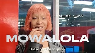 (vlog)MOWALOLA pop-up 현장에 다녀오다!