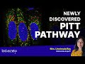 New Discovery - PITT PATHWAY by Pittsburgh Scientists