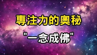 專注力的奧秘：一念成佛！揭開佛性覺醒的引擎！你是否正在被小我「綁架」？業力偷走你的快樂，修行者的神秘進化之路 #開悟 #覺醒 #靈性成長