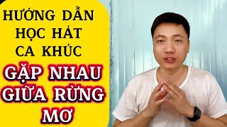 Hướng dẫn học hát ca khúc “Gặp Nhau Giữa Rừng Mơ” cho người mới bắt đầu | Thanh Trình