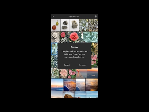 Lightroom Mobile - Five Common Questions Lightroom Mobile - Five Common Questions