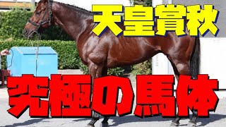 【競馬】天皇賞秋🏆予想