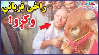 قرباني خپل هیواد کې وکړئ  | Let,s Donate Our Qurbani in Our Own Country new (2023)