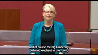 Senator Janet Rice talks to Labor's Climate Bill 07/09