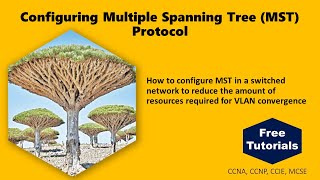 Configuring Multiple Spanning Tree (MST) Protocol
