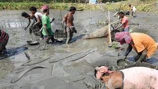 Asian Traditional Fishing By Village People | Primitive Village Fishing