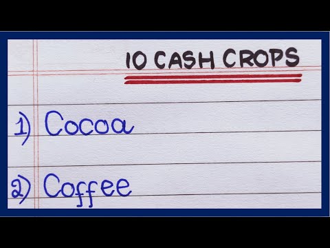 What are 5 cash crops?