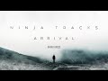 Ninja Tracks - Divided Forces