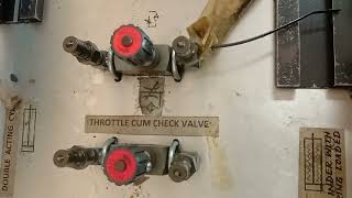 Throttle valve-Check valve-Meter in /meter out valve