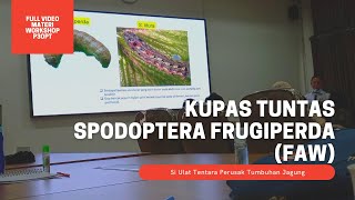 Full video Pengenalan dan pengendalian Spodoptera Frugiperda || Materi workshop P3OPT 2021