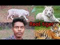 Odisha Tour ||Ajay Singh Vlogs||