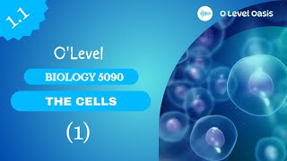 Introduction to cells and microscopes | O Level Biology 5090 | Chapter 1 | Cells | Unit 1.1