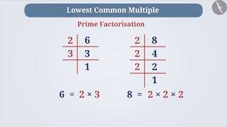 Highest common factor (HCF) and Lowest common multiple (LCM) | Part 1.2/3