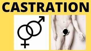 castration | castration basic information | castration meaning |SRS |Sex Reassig