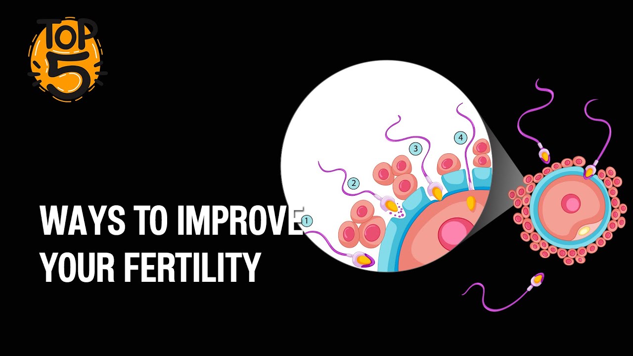 5 Ways To Improve Your Fertility - YouTube