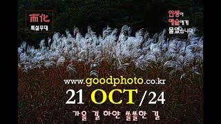 而化(이화) PhotoVideo 사진영상 1021'24 [가을 길 하얀 쓸쓸한 길]