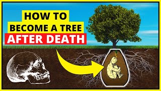 Capsula mundi project - Burial Pods. How become a tree after death? - Green Burial