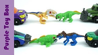 타이니소어 4종 드라코렉스 프시타코 카르카로 둔클레오 공룡메카드 Dino Mecard Toys