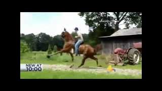 THE STORY OF GEN'S ICE GLIMMER, AMERICA'S TENNESSEE WALKING HORSE