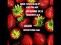 Fruit Tech house 07- Mixed Little Peter Esse