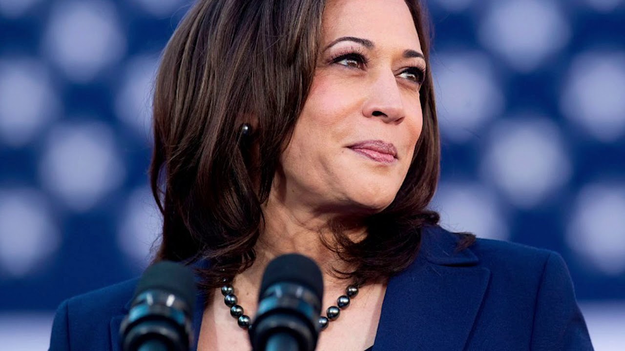 Kamala Harris Inspires All As The First Woman Of Color Elected US Vice ...