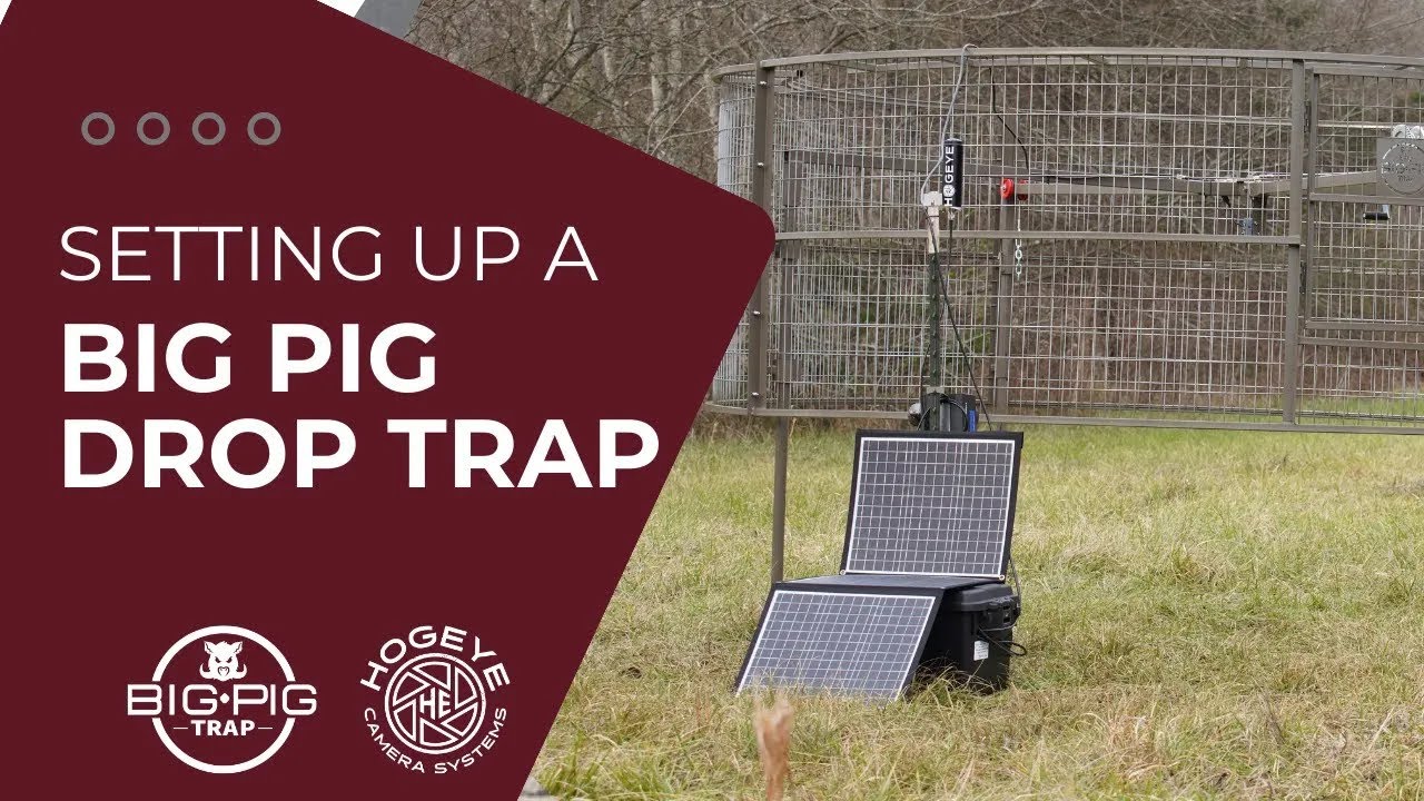 Big Pig Drop Trap Assembly Youtube