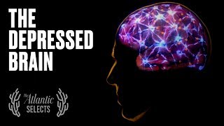 Your Brain on Depression: Neuroscience, Animated