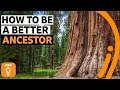 Do we have a duty to protect the environment for future generations? | BBC Ideas